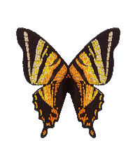 Swxmas Sticker by Sophia Webster