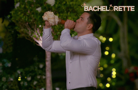 Romance Love GIF by The Bachelorette Australia