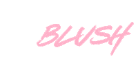 Makeup Blush Sticker by clio professional
