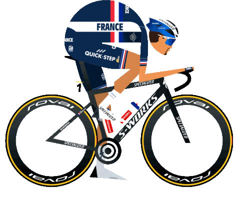 France Bike Sticker