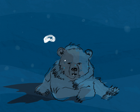 animation bear GIF by Ana Caro