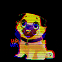 Dog Laugh GIF by Bad Pug