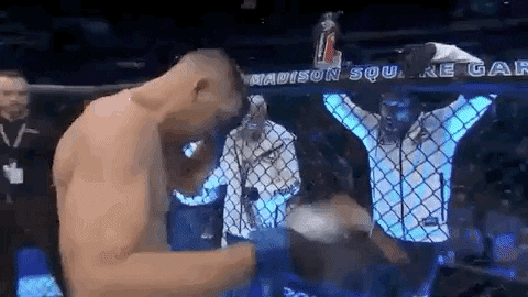 Sport Mma GIF by UFC