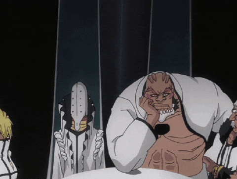 Bleach Anime GIF
