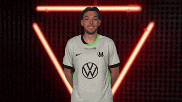 Vfl Wolfsburg Hello GIF by Bundesliga