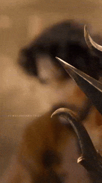 Mahesh Babu Film GIF