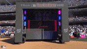 Major League Baseball Sport GIF by MLB
