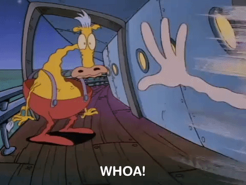 rockos modern life nicksplat GIF