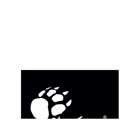 RUPES_spa logo bigfoot polishing car detailing Sticker