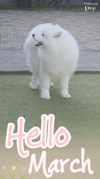 Happy Mars GIF