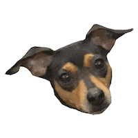 Dogs Puppy Sticker by PranaMKTGroup