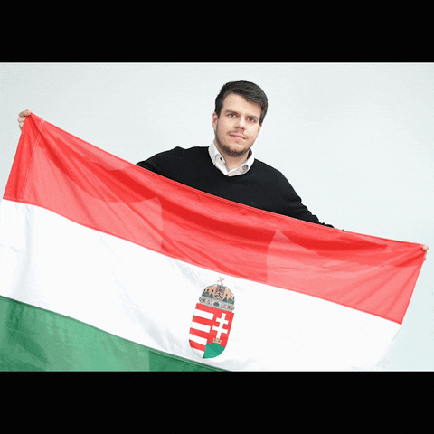 Valasztas GIF by Jobbik Magyarországért Mozgalom