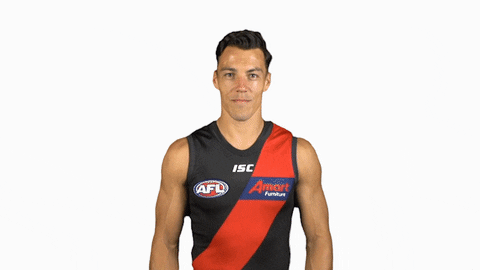 essendonfc giphyupload dons bombers essendon GIF
