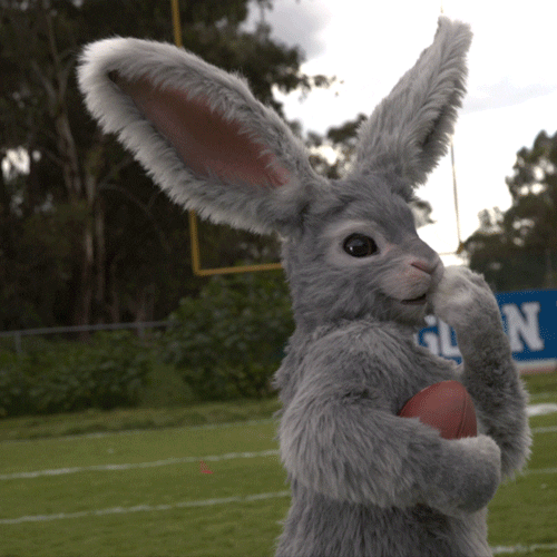 Rabbit Lol GIF by Tubi