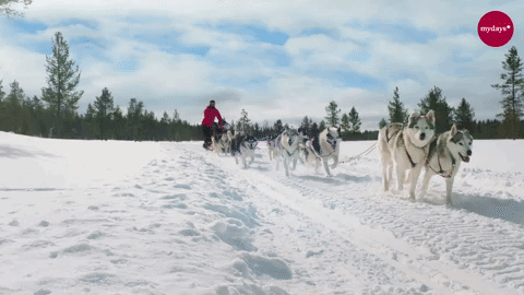 snow love GIF
