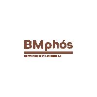 barracamissoes bmphos Sticker