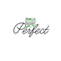 Perfectgame Sticker by Three60 Softball