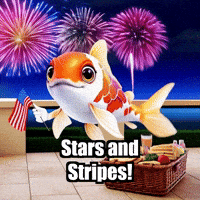 Stars And Stripes Summer GIF by TheConfishius