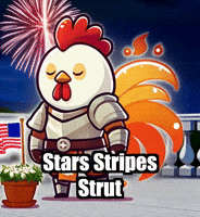 Summer Patriotism GIF by Zorooster