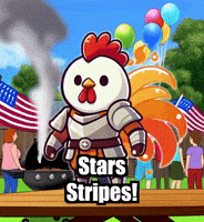 Stars Stripes Summer GIF by Zorooster