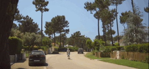 kids tortoise GIF