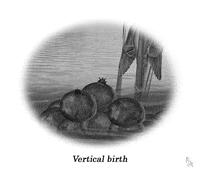 colinraff art fiction kunst creatures GIF