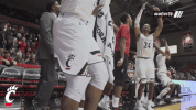 excited get up GIF by University of Cincinnati Athletics