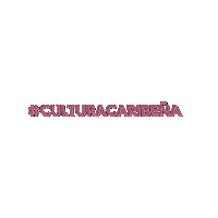 Latina Culture Sticker by reggaetonconlagata