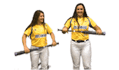 College Sports Fun Sticker by Delaware Blue Hens