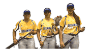 College Sports Fun Sticker by Delaware Blue Hens