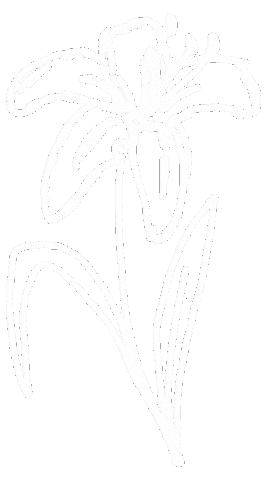 Padres Lirio Sticker