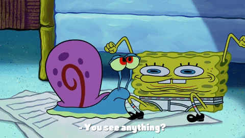 season 10 episode 3 GIF by SpongeBob SquarePants