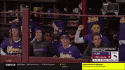 ncaasports ncaa softball tigers lsu GIF