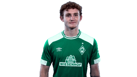 football bundesliga Sticker by SV Werder Bremen