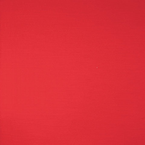 Soccer What GIF by Fortuna Düsseldorf