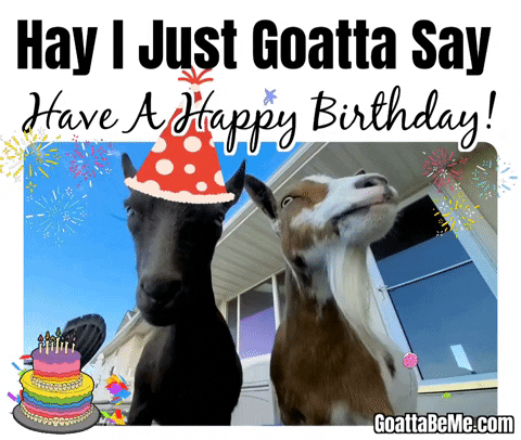 Happy Birthday To You Cute Animals GIF by Goatta Be Me Goats! Adventures of Pumpkin, Cookie and Java!