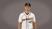 Baseball Calstatela GIF by Cal State LA Golden Eagles