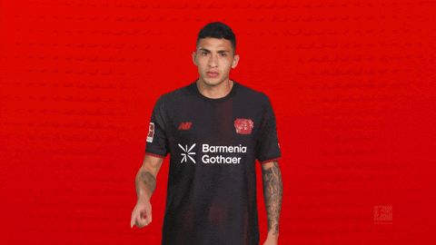 Bayer Leverkusen GIF by Bundesliga