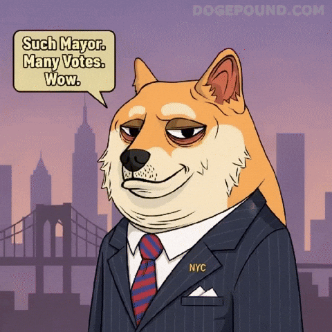 Vote Wow GIF by Doge Pound