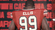 College Football GIF by gamecocksonline