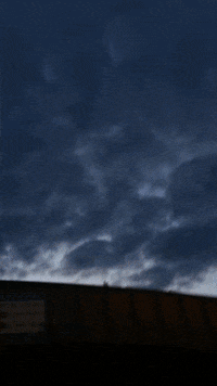 new york city car GIF by Tyler Resty