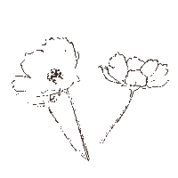 grintealatte flower flowers bloom lily Sticker