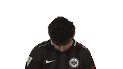 Happy Eintracht Frankfurt Sticker by Bundesliga
