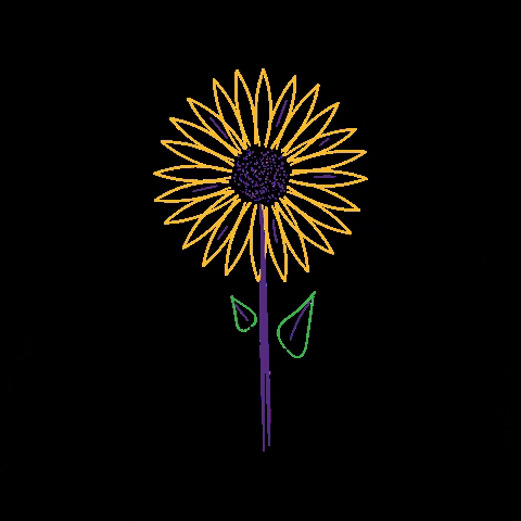 walofestival music flower festival musicfestival GIF