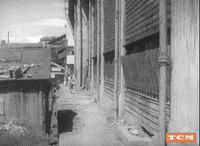 Akira Kurosawa Tokyo GIF by Turner Classic Movies