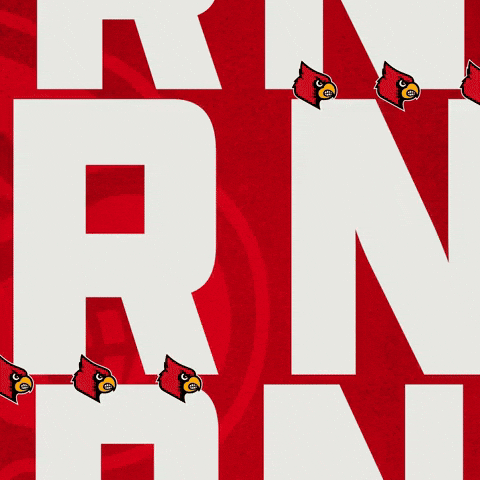 Go Cards GIF by Louisville Cardinals