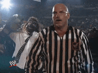 wwe sports wwe wrestling champion GIF