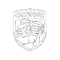 El Oro Futbol Sticker by Orense Sporting Club