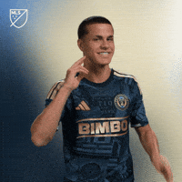 Get Loud What GIF by Major League Soccer