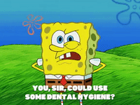 season 5 000 patties under the sea GIF by SpongeBob SquarePants